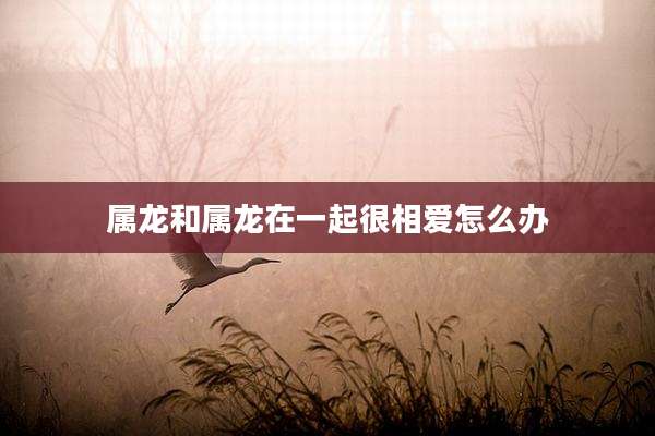 属龙和属龙在一起很相爱怎么办