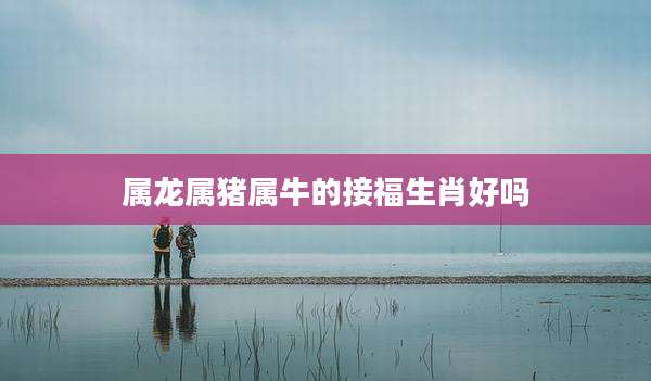 属龙属猪属牛的接福生肖好吗