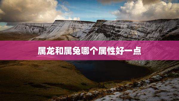 属龙和属兔哪个属性好一点