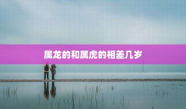 属龙的和属虎的相差几岁