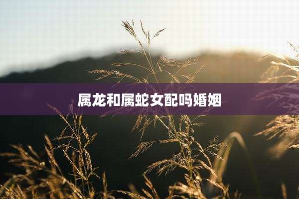 属龙和属蛇女配吗婚姻