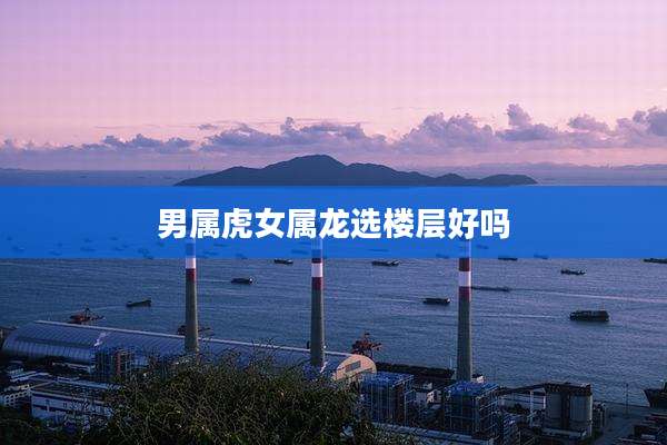 男属虎女属龙选楼层好吗