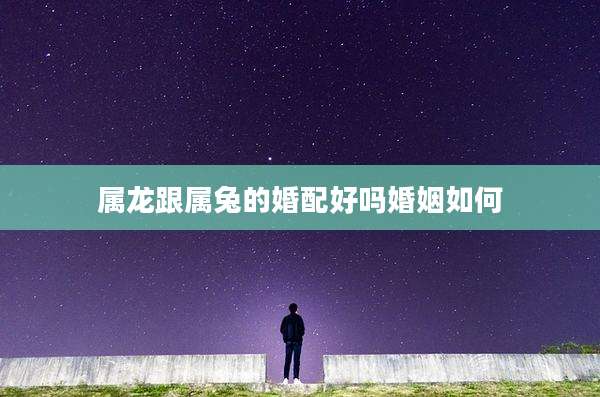 属龙跟属兔的婚配好吗婚姻如何