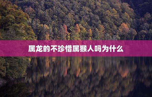 属龙的不珍惜属猴人吗为什么