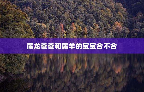 属龙爸爸和属羊的宝宝合不合