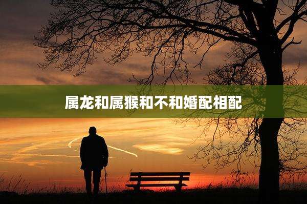 属龙和属猴和不和婚配相配