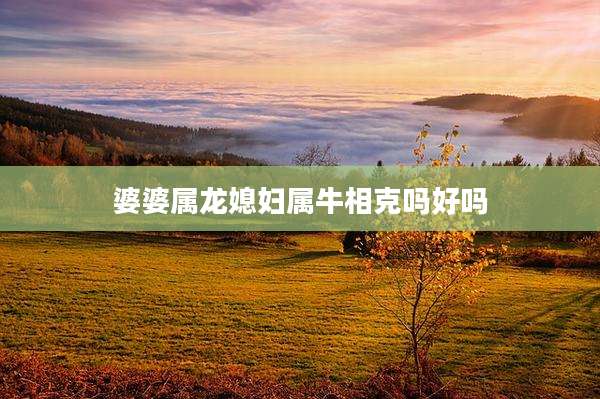 婆婆属龙媳妇属牛相克吗好吗