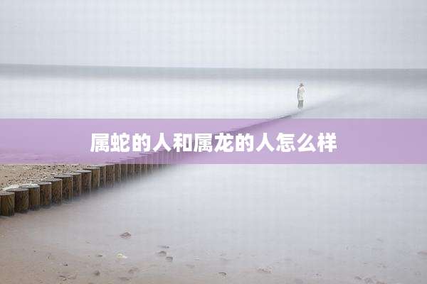 属蛇的人和属龙的人怎么样