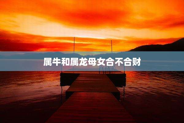 属牛和属龙母女合不合财