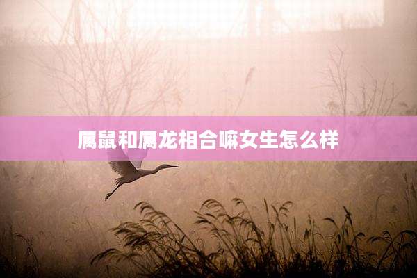属鼠和属龙相合嘛女生怎么样