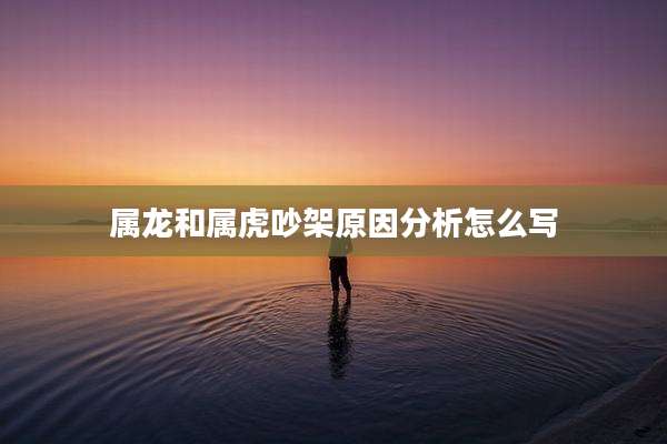 属龙和属虎吵架原因分析怎么写