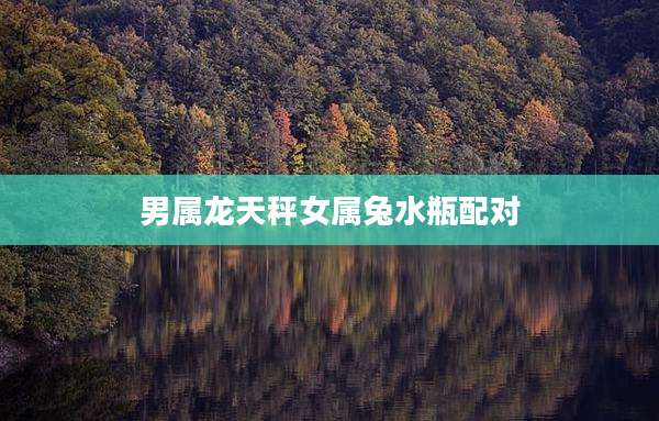 男属龙天秤女属兔水瓶配对
