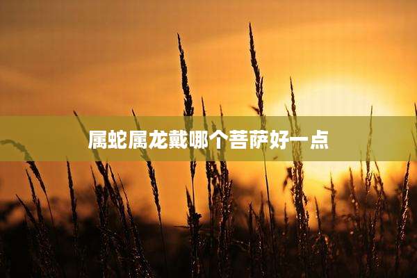 属蛇属龙戴哪个菩萨好一点