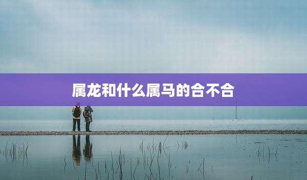 属龙和什么属马的合不合
