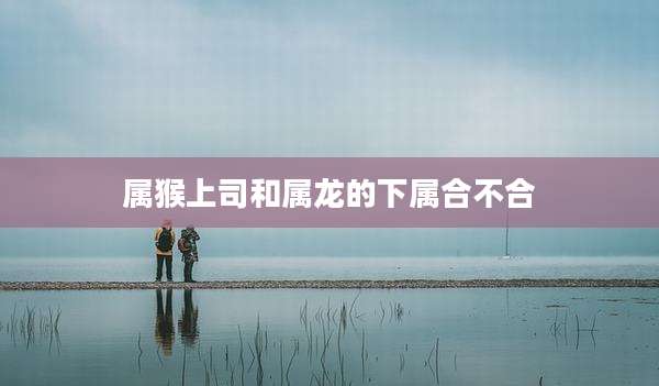 属猴上司和属龙的下属合不合