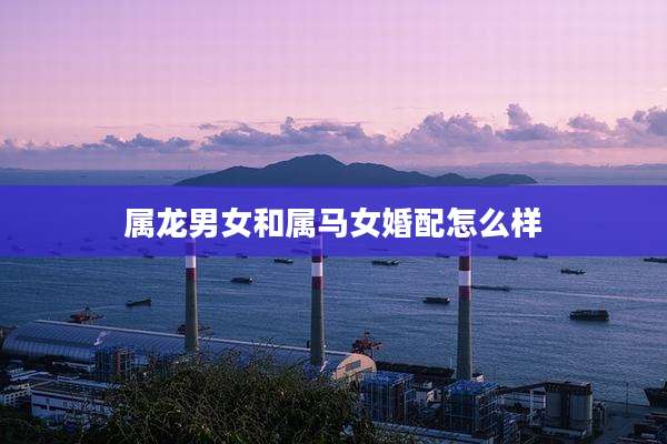 属龙男女和属马女婚配怎么样
