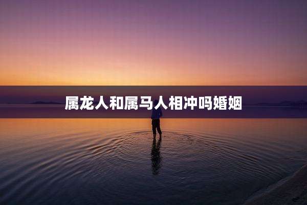 属龙人和属马人相冲吗婚姻