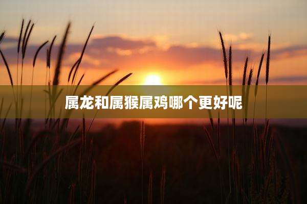 属龙和属猴属鸡哪个更好呢