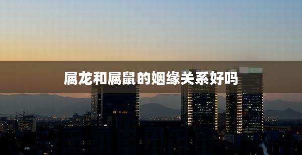 属龙和属鼠的姻缘关系好吗