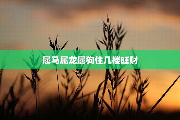 属马属龙属狗住几楼旺财