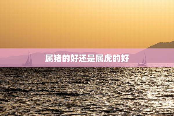 属猪的好还是属虎的好