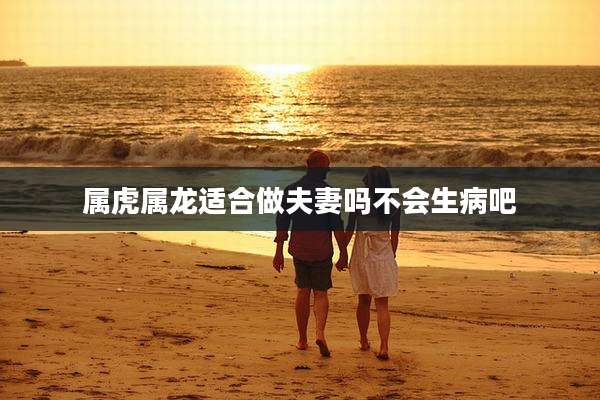 属虎属龙适合做夫妻吗不会生病吧
