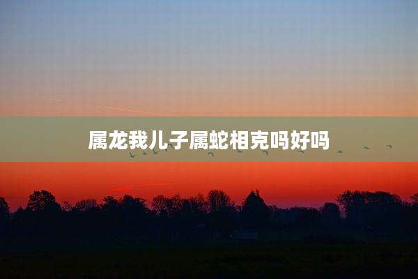 属龙我儿子属蛇相克吗好吗