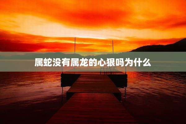 属蛇没有属龙的心狠吗为什么