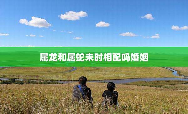 属龙和属蛇未时相配吗婚姻