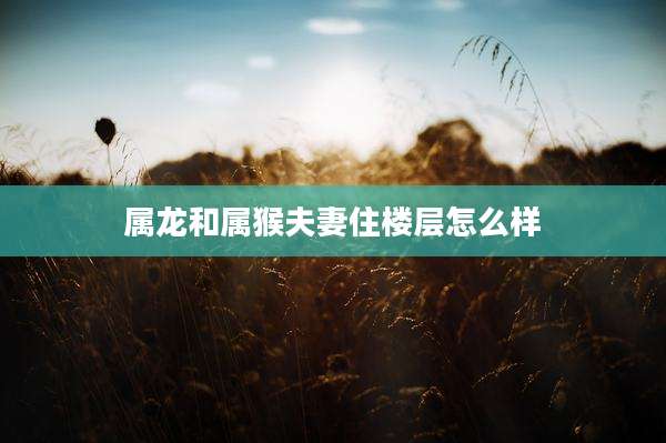 属龙和属猴夫妻住楼层怎么样