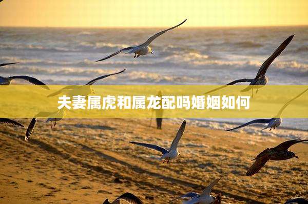 夫妻属虎和属龙配吗婚姻如何