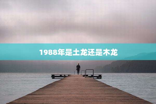 1988年是土龙还是木龙