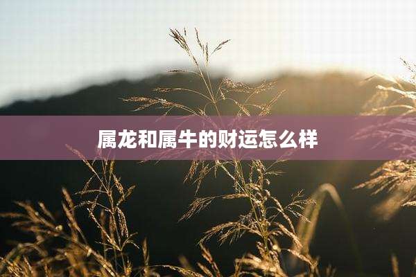 属龙和属牛的财运怎么样