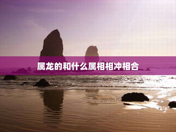 属龙的和什么属相相冲相合