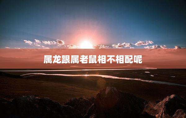 属龙跟属老鼠相不相配呢