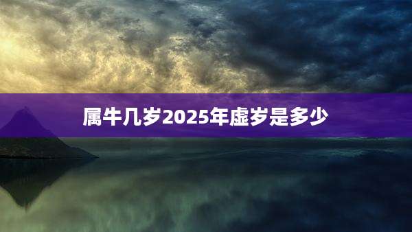 属牛几岁2025年虚岁是多少