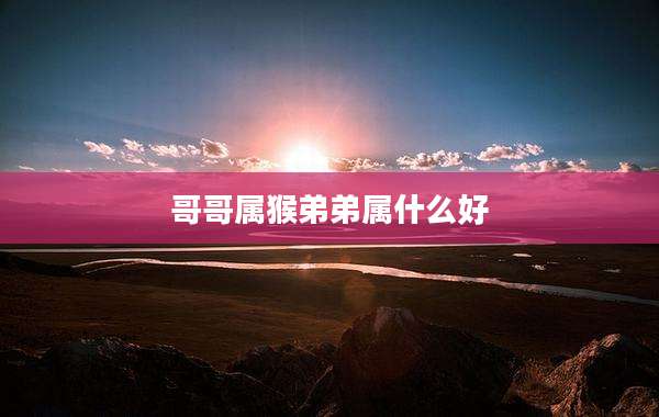 哥哥属猴弟弟属什么好