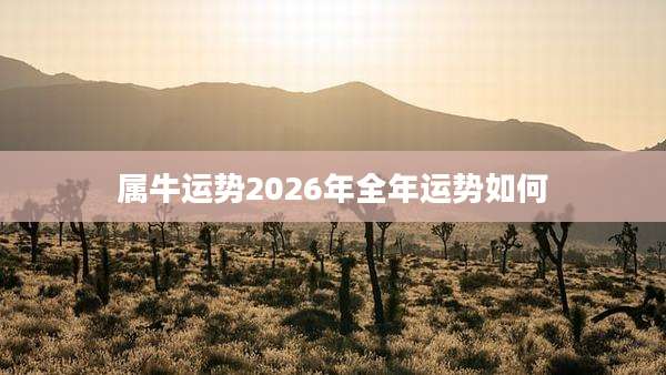 属牛运势2026年全年运势如何