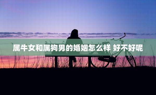 属牛女和属狗男的婚姻怎么样 好不好呢
