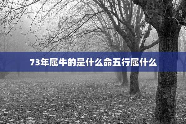 73年属牛的是什么命五行属什么
