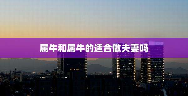 属牛和属牛的适合做夫妻吗