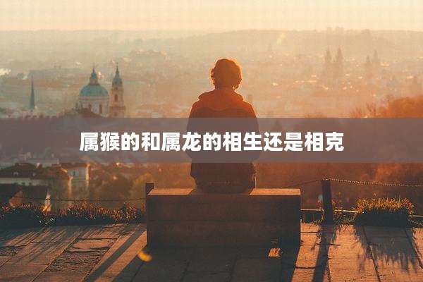 属猴的和属龙的相生还是相克