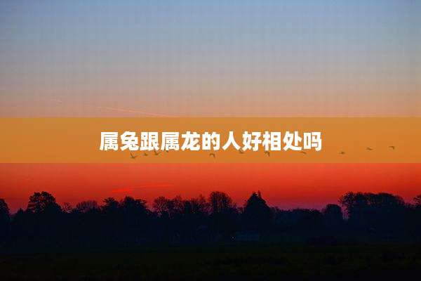 属兔跟属龙的人好相处吗