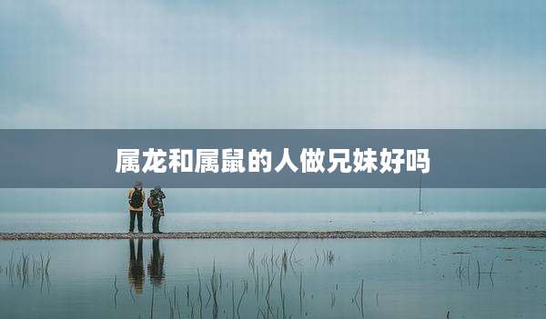 属龙和属鼠的人做兄妹好吗