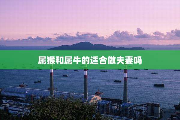 属猴和属牛的适合做夫妻吗