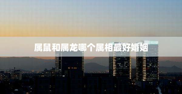 属鼠和属龙哪个属相最好婚姻
