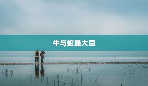 牛与蛇最大忌