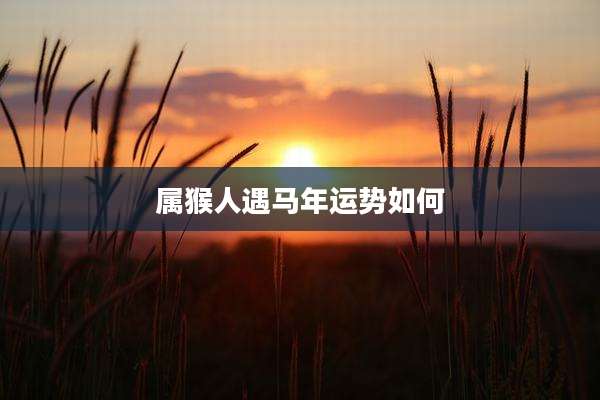 属猴人遇马年运势如何