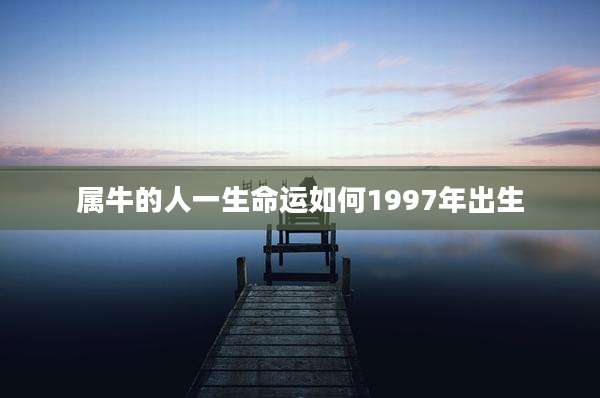 属牛的人一生命运如何1997年出生