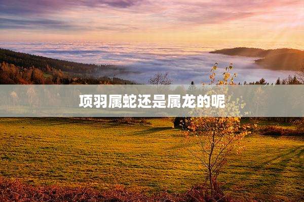 项羽属蛇还是属龙的呢